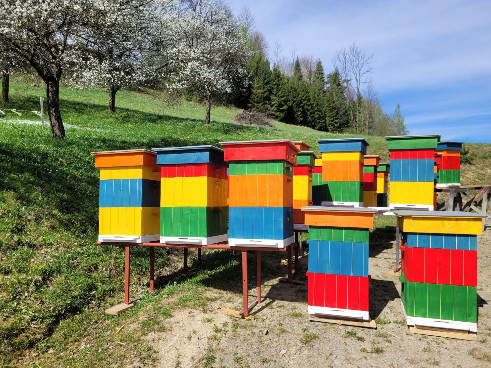 Stary Dom Z Piwnica Krynica Zdroj